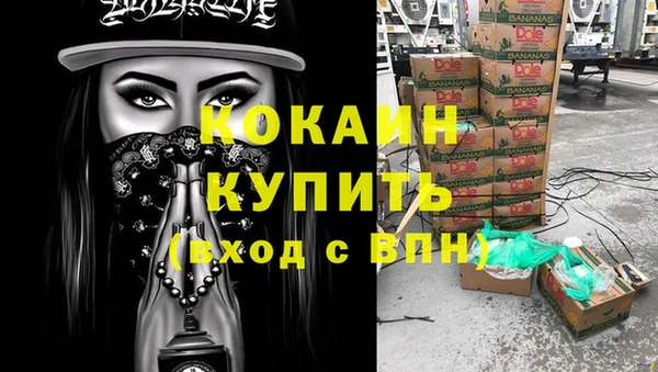 метадон Алексин