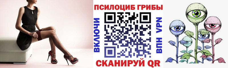 Псилоцибиновые грибы Psilocybe  как найти закладки  Щёлково 